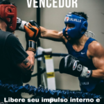 Ebook PLR Seja Um Vencedor